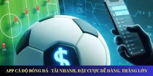 app ca do bong da